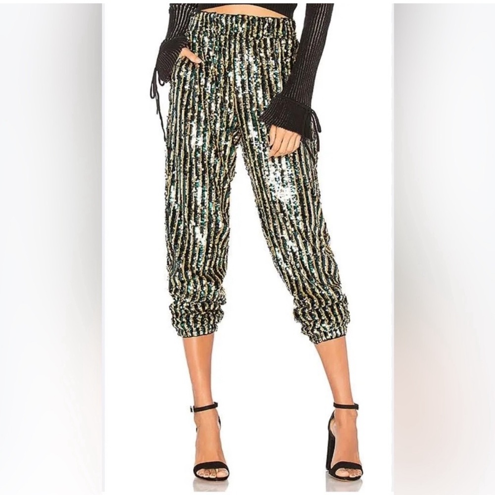 Fabulous Tularosa Sequinned Sparkly pants!
